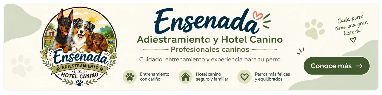 Ensenada: adiestramiento y hotel canino. Cuidado, entrenamiento y estadía para tu perro. Consulta por WhatsApp.