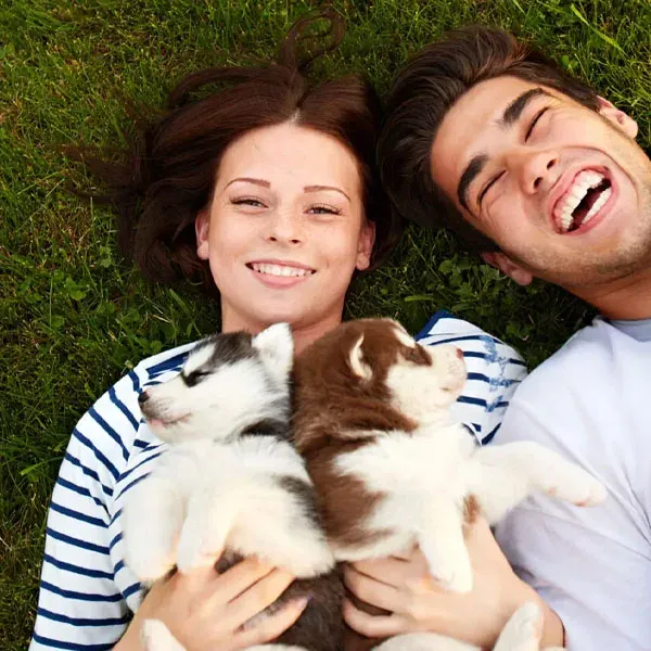 Personas acompañadas de sus perros