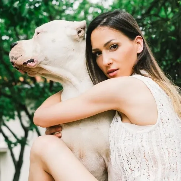 Dogo Argentino · fotografía 5