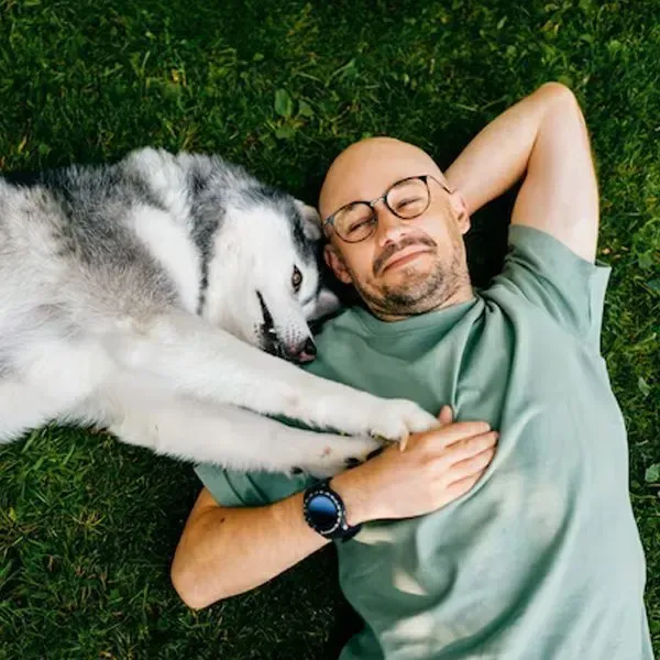 Husky Siberiano · fotografía 4