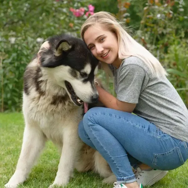 Malamute de Alaska · fotografía 11