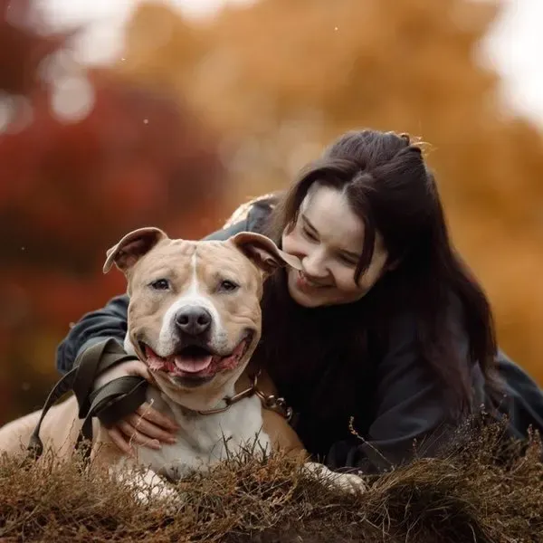Pit Bull · fotografía 11