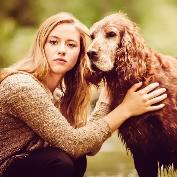 Setter irlandés · fotografía 11